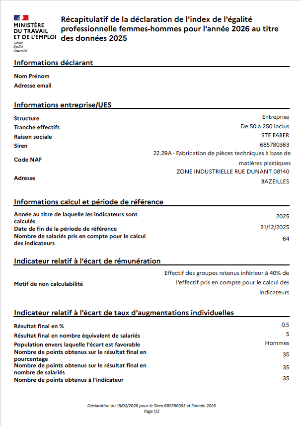 Déclaration de l’index égalité professionnelle femmes-hommes